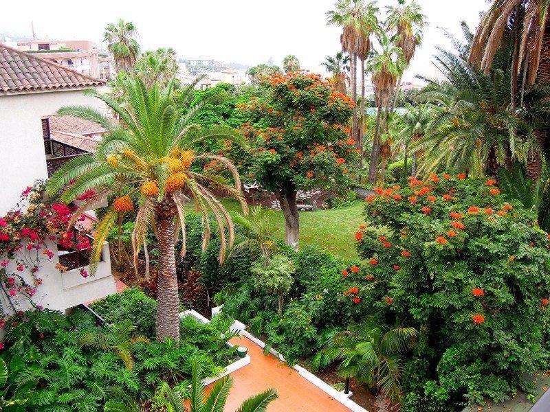 Parque San Antonio Otel Puerto de la Cruz  Dış mekan fotoğraf